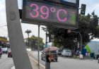 Verão: altas temperaturas podem provocar taquicardia e maior risco de AVC