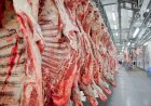 Entenda o que a UE decidiu sobre a carne brasileira – e por que não é embargo imediato