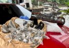 Polícia Militar realiza operação contra grupo criminoso em conjunto residencial de João Pessoa