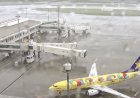 Japão tem quase 400 voos cancelados devido ao Tufão Jangmi