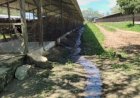 Empresária é presa por crime ambiental em granja de galinhas em São José da Mata, em Campina Grande