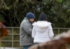 Onda de frio: Sul pode ter neve, geada e marcas abaixo de 0°C nesta semana; Sudeste esfria mais a partir de quarta Massa de ar polar ganha força nos próximos dias e também de