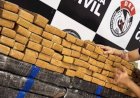 Cerca de 400 kg de drogas vindas do Paraguai são apreendidos em Campina Grande