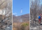 Incêndio é controlado após destruir cerca de 800 hectares de vegetação no Sertão da Paraíba