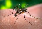 PARAÍBA: Casos de dengue aumentam 16,37?stado registra 14 mortes em 2026