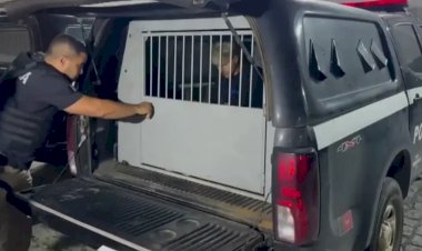 Polícia prende terceiro suspeito de envolvimento na morte de casal em Sapé