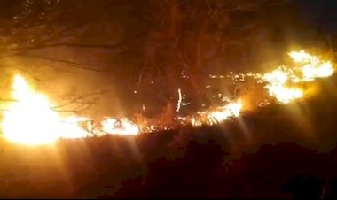 Vale dos Dinossauros, em Sousa, tem atividades suspensas após incêndio na vegetação