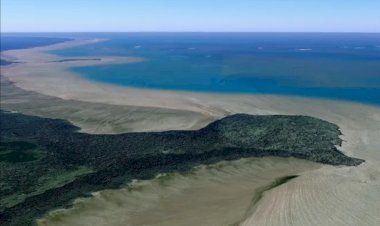 Petrobras recebe aval do Ibama para perfurar Foz do Amazonas