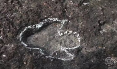 Pesquisadores de Roraima descobrem pegadas de dinossauros na Amazônia