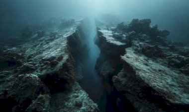 Terra está se partindo: cientistas registram, pela primeira vez, uma placa tectônica se rompendo sob o oceano