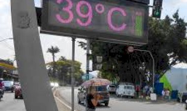 Verão: altas temperaturas podem provocar taquicardia e maior risco de AVC