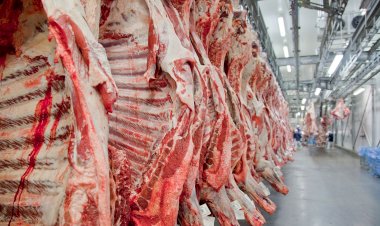 Entenda o que a UE decidiu sobre a carne brasileira – e por que não é embargo imediato