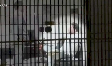 'Medo está me adoecendo’, diz mulher após empresário ser preso suspeito de violência doméstica, em João Pessoa