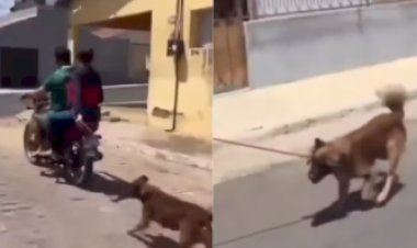 Polícia Civil investiga maus-tratos contra cachorro arrastado por moto na Paraíba