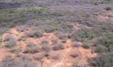 Lá Vem o Enem: resolva questões de geografia sobre crise climática no semiárido