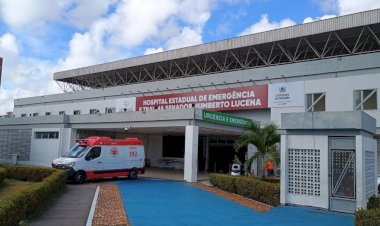JOÃO PESSOA: Ataque de abelhas deixa dois homens feridos na Zona Sul da capital