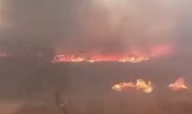 Incêndio atinge área de mata e já destruiu quase 600 hectares de vegetação no Sertão da Paraíba