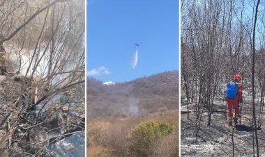 Incêndio é controlado após destruir cerca de 800 hectares de vegetação no Sertão da Paraíba