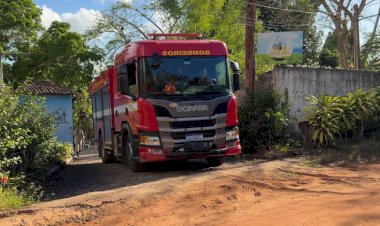 Seis pessoas ficam feridas após ataque de abelhas em acampamento, em João Pessoa; vítima sofre mais de 100 picadas