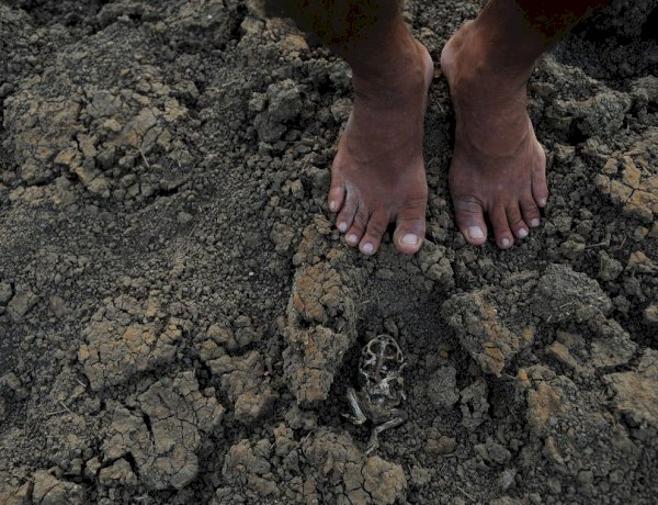Quatro cidades da Paraíba entram em situação de emergência por causa da estiagem