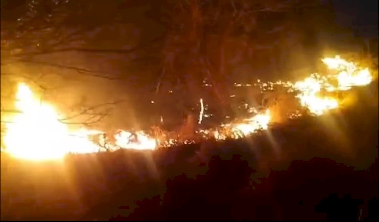 Vale dos Dinossauros, em Sousa, tem atividades suspensas após incêndio na vegetação