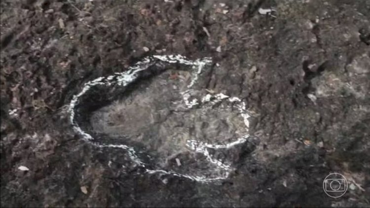 Pesquisadores de Roraima descobrem pegadas de dinossauros na Amazônia