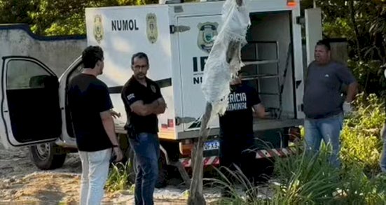 Homem morto na BR-101 por policial militar estava sozinho e foi filmado após ser atingido, diz delegado