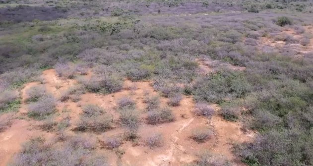 Lá Vem o Enem: resolva questões de geografia sobre crise climática no semiárido