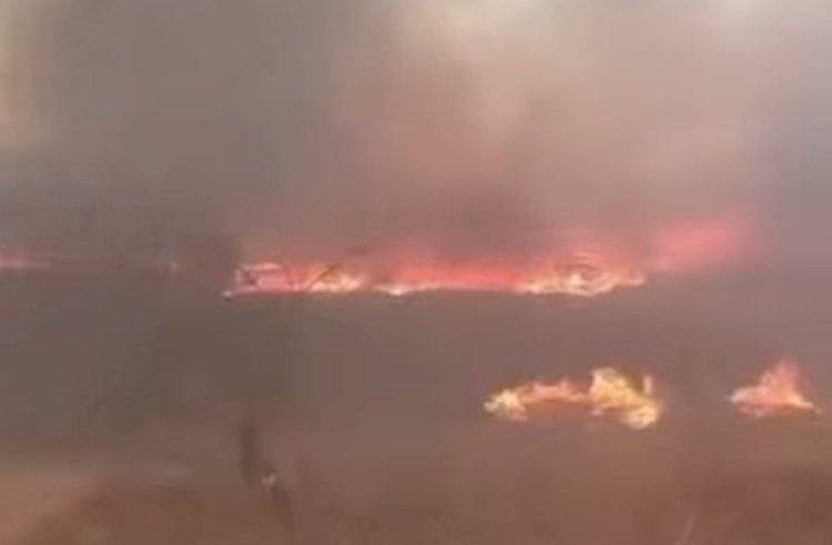 Incêndio atinge área de mata e já destruiu quase 600 hectares de vegetação no Sertão da Paraíba