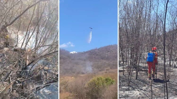 Incêndio é controlado após destruir cerca de 800 hectares de vegetação no Sertão da Paraíba